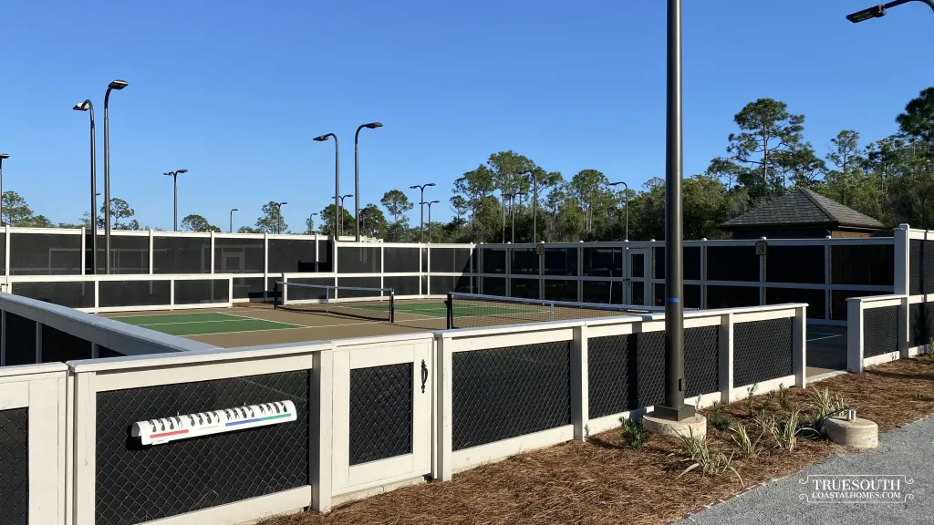 Watersound Camp Creek Homes for Sale, Inlet Beach, FL