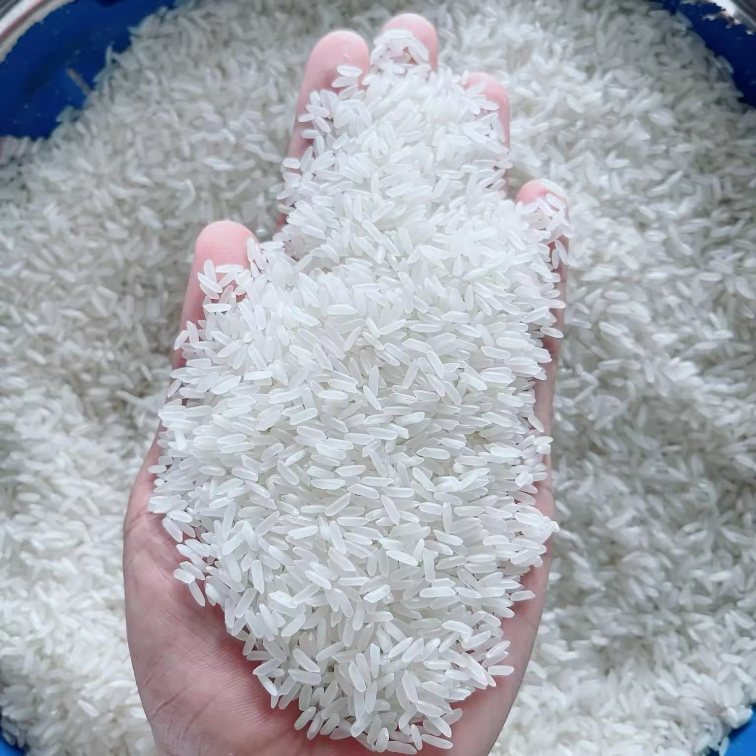 Vietnamese Jasmine & Long-Grain Rice