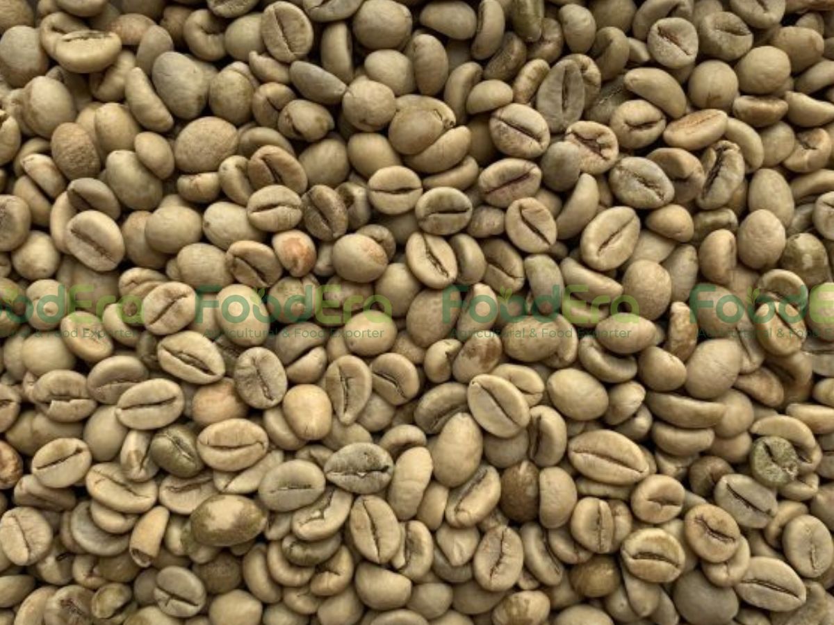 Coffee Grade 1 - Screen 16 Fully Washed