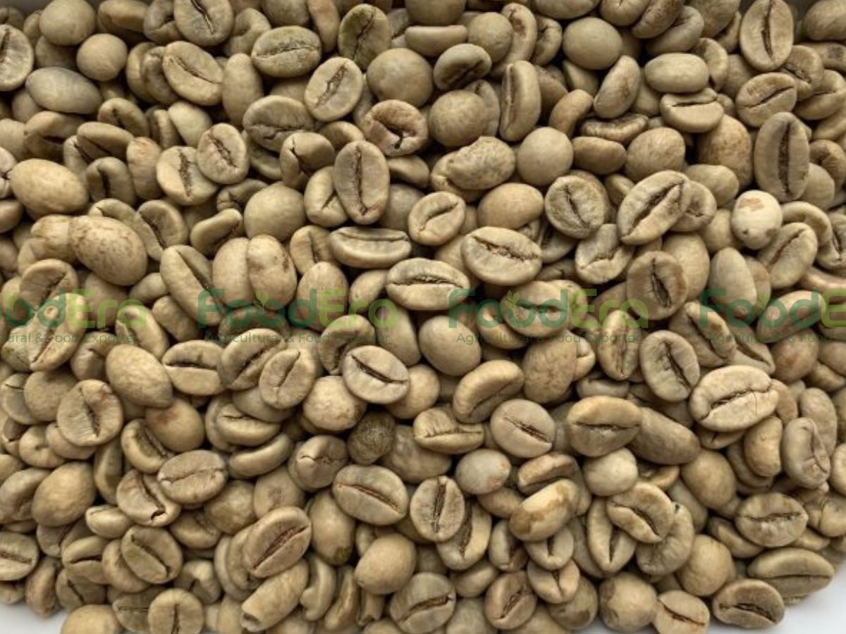 Vietnam Arabica Coffee Grade 1 - Screen 18 Fully Washed