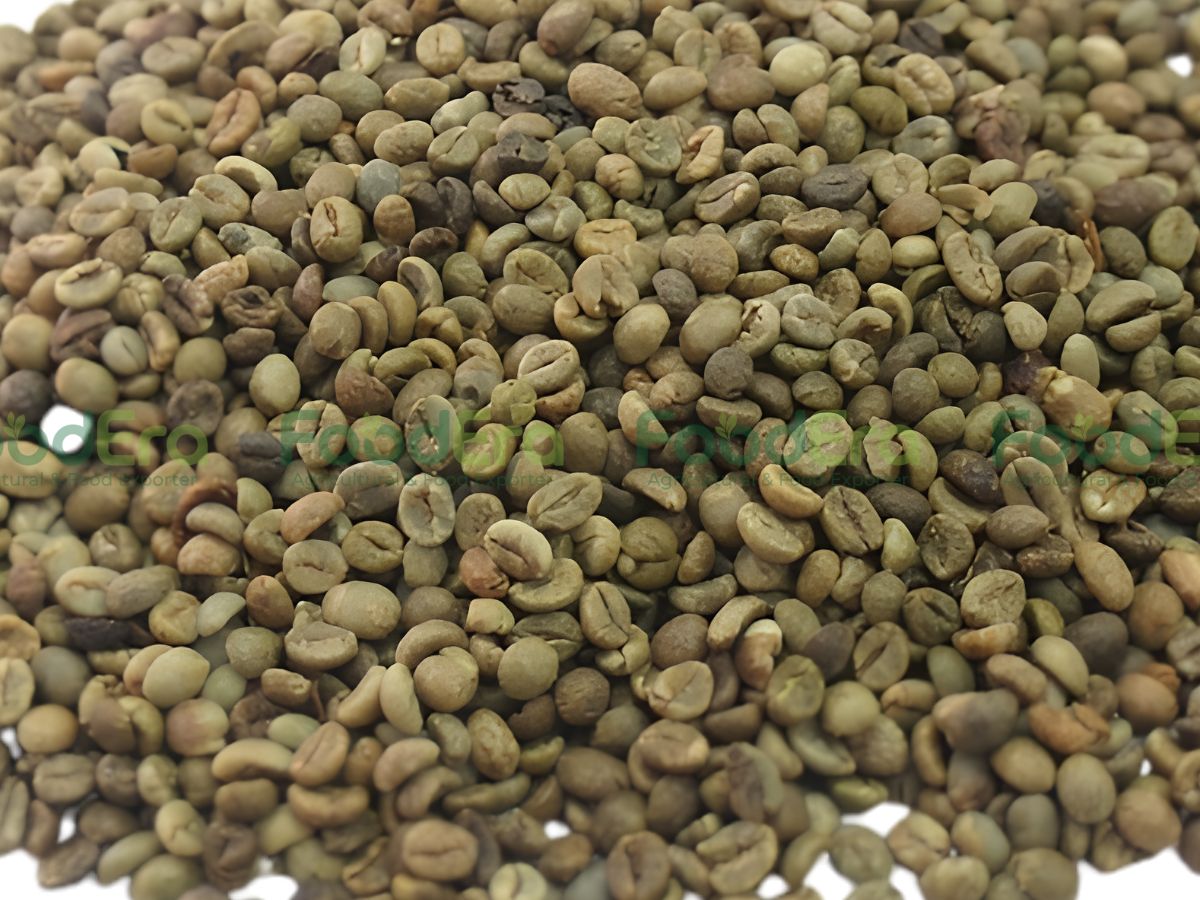 Vietnam Robusta Coffee Grade 1 - Screen 16, 2% Black & Broken