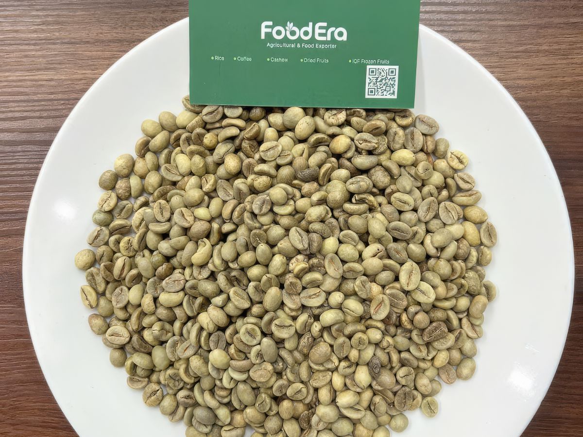 Vietnam Robusta Coffee Grade 1 - Screen 16 Wet Polished
