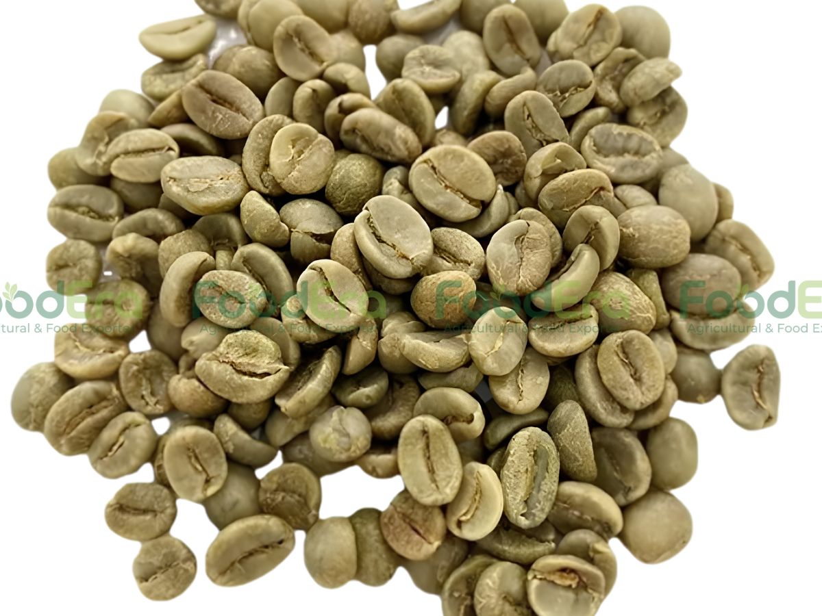 Vietnam Robusta Coffee Grade 1 - Screen 18, 2% Black & Broken
