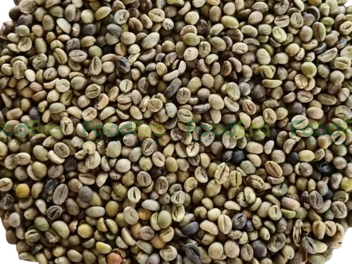 Vietnam Robusta Coffee Grade 2 - Screen 13