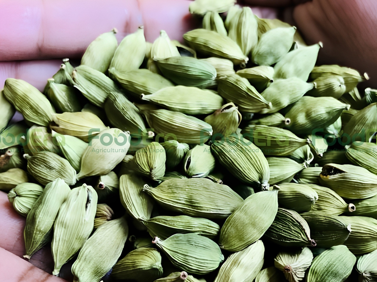 Green Cardamom