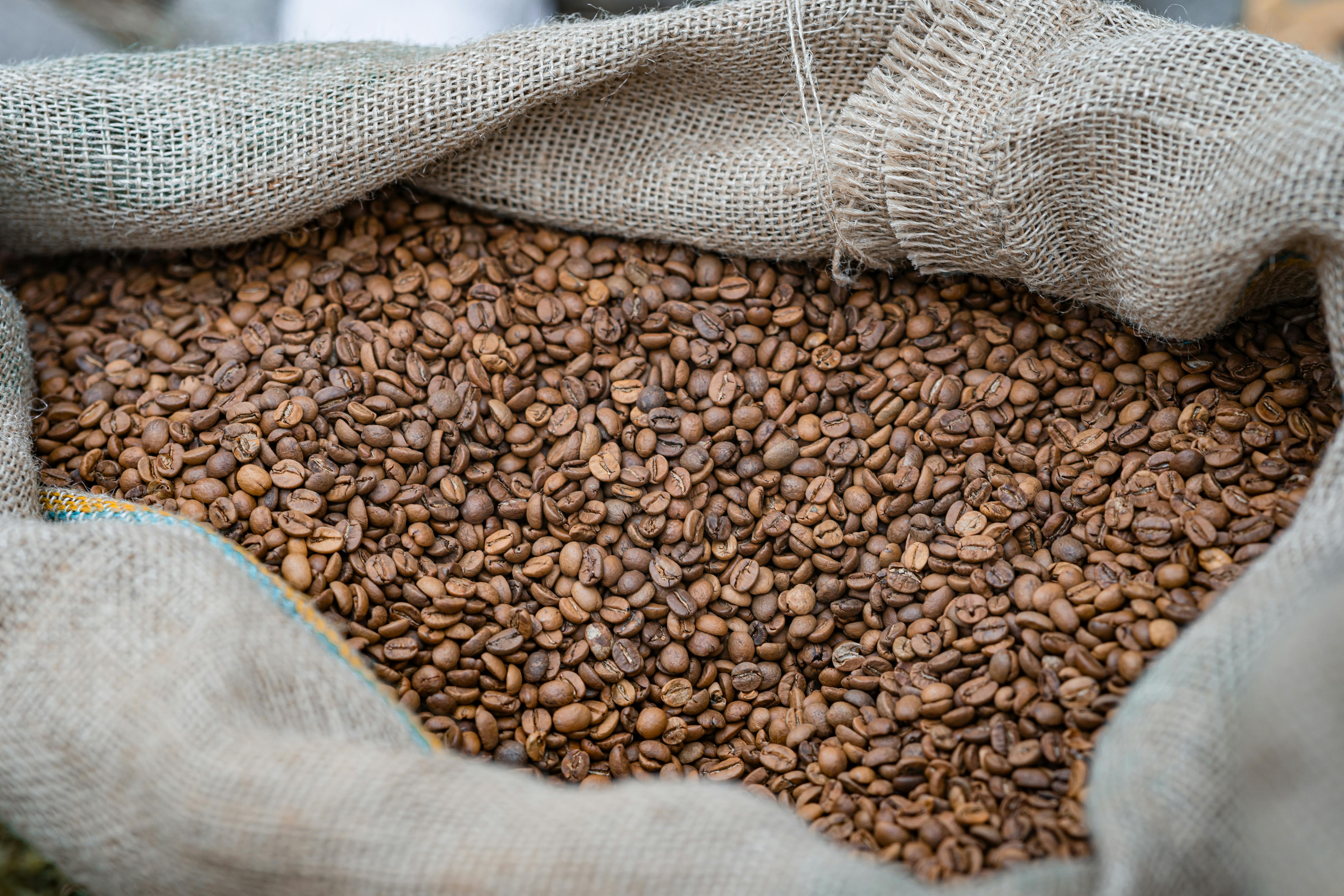 Vietnamese coffee beans for global B2B buyers