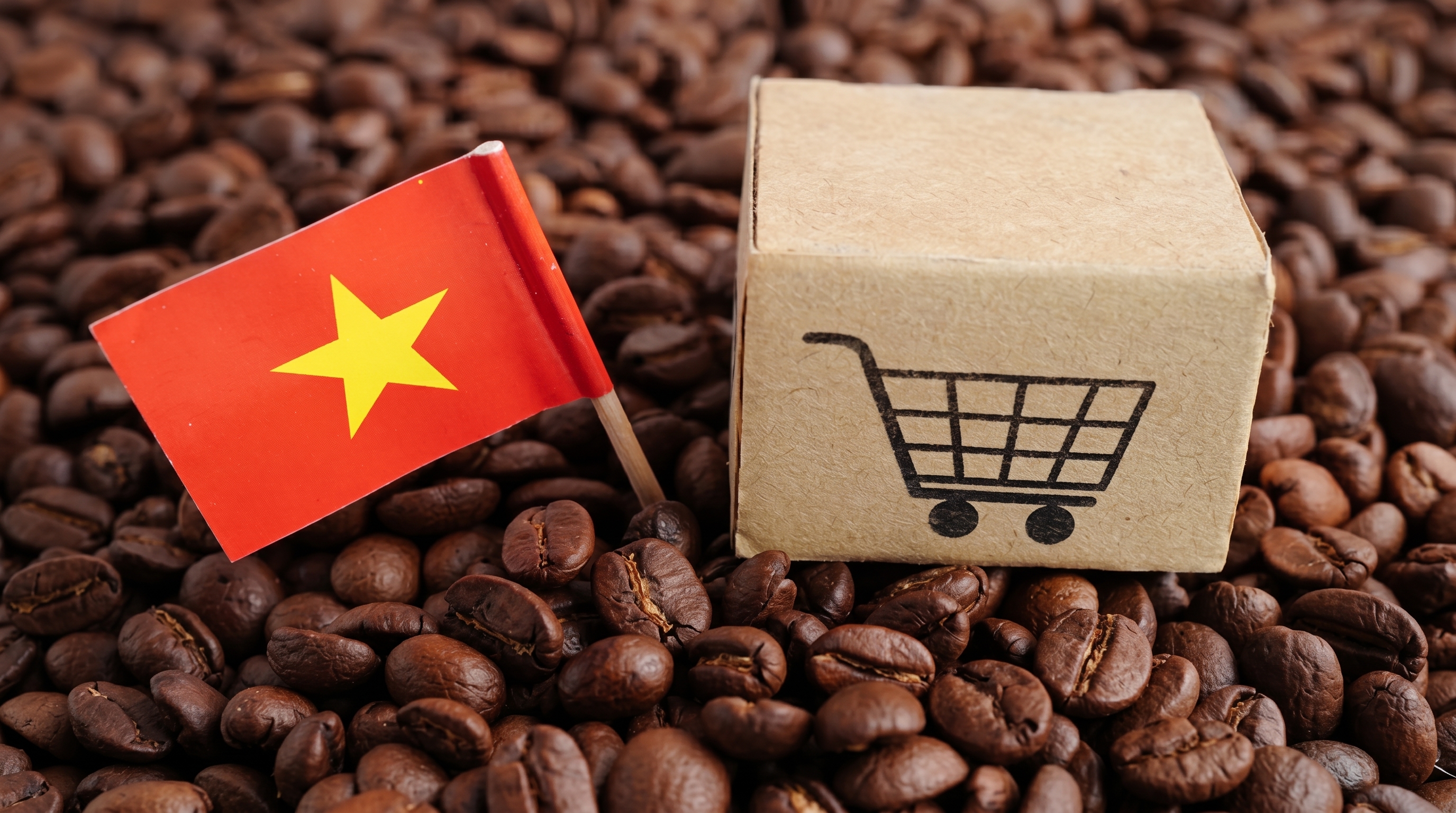 Import coffee from Vietnam for B2B buyers