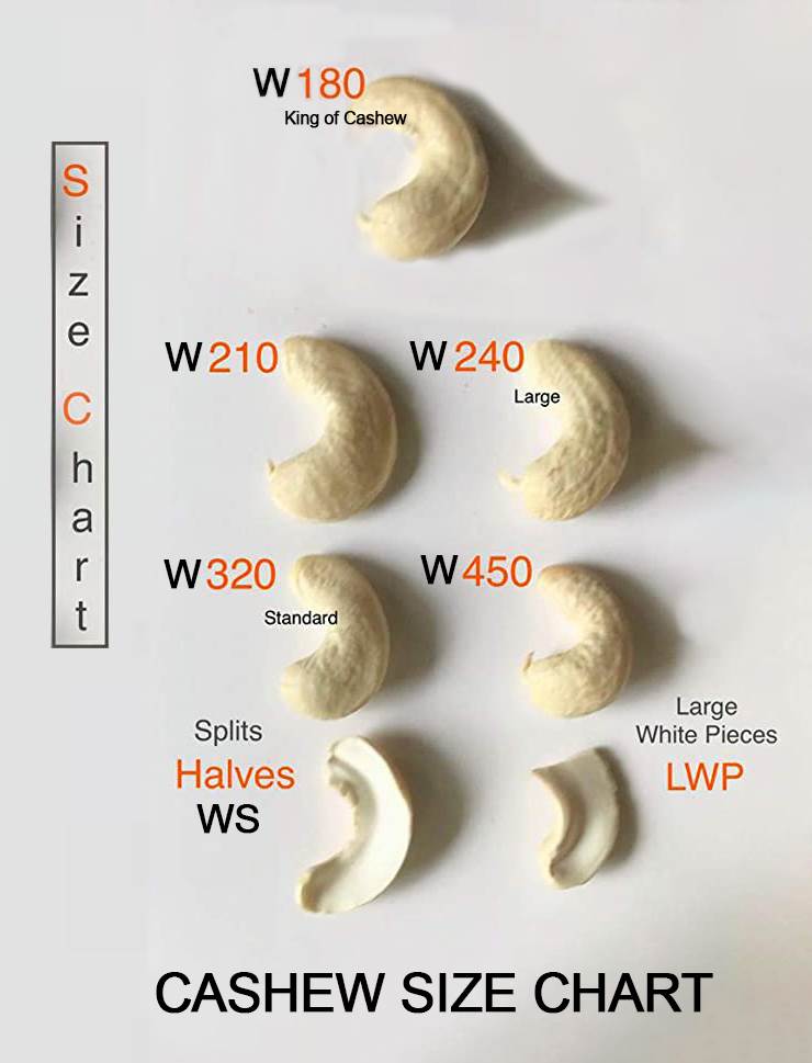 Cashew Grades