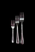 Fork 3