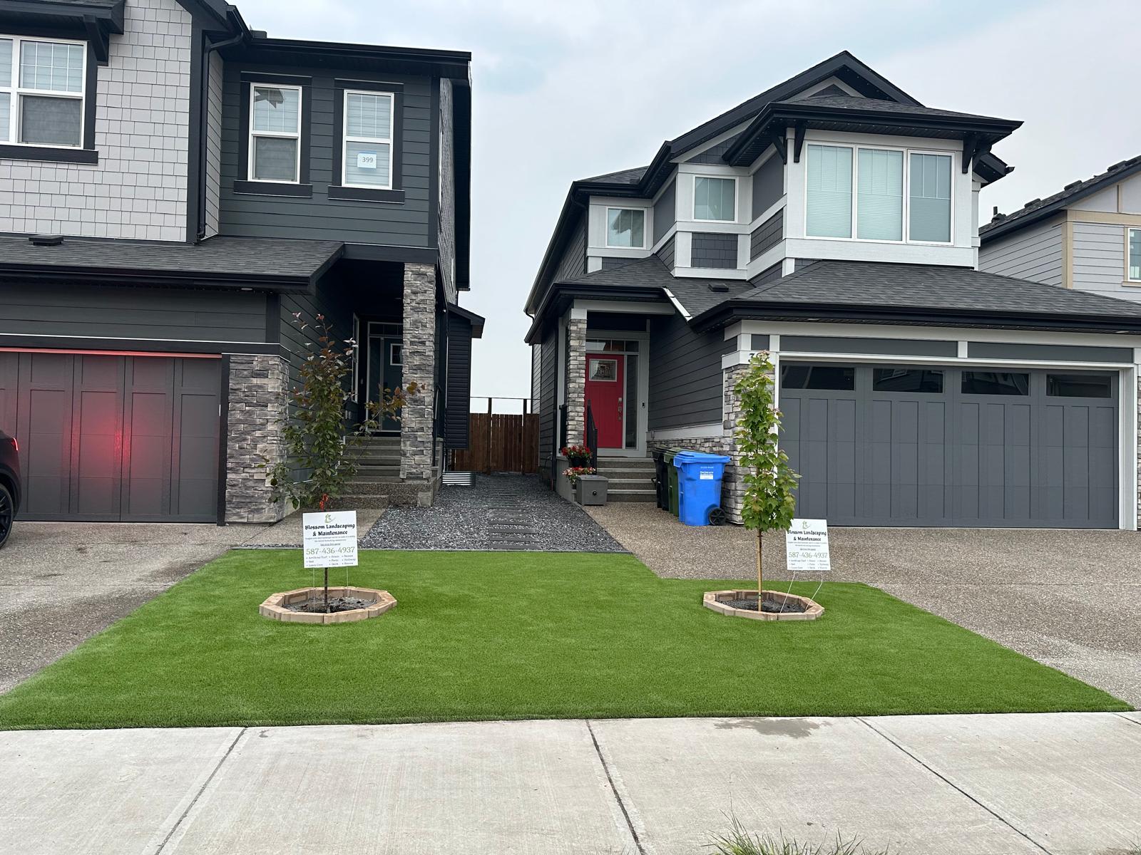 Blossom Landscaping Team