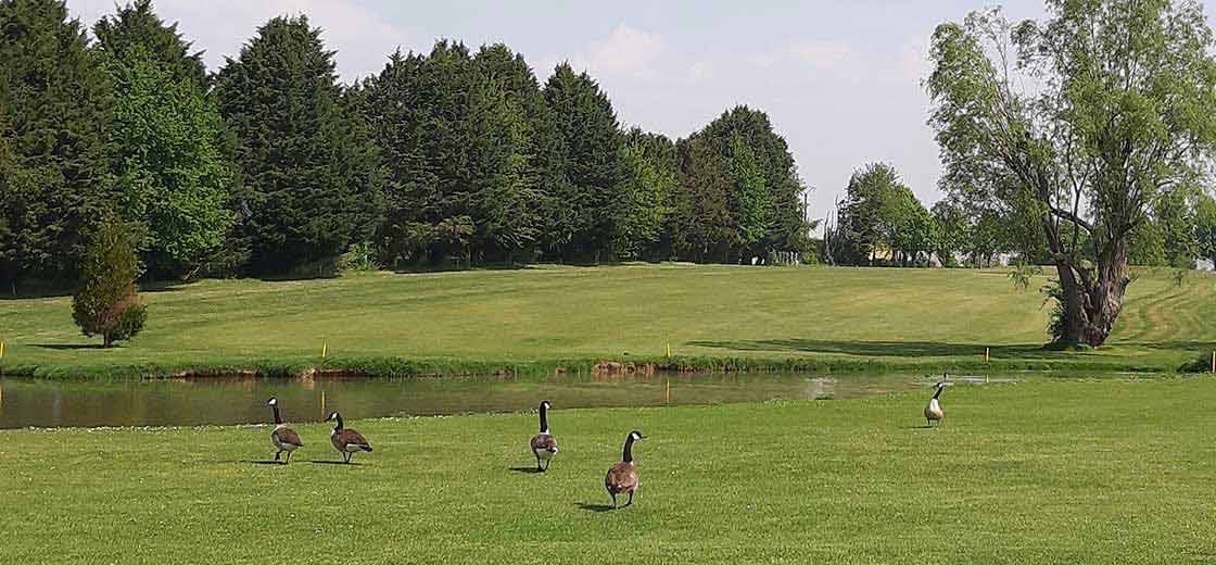 Parcours du golf UGOLF Templiers