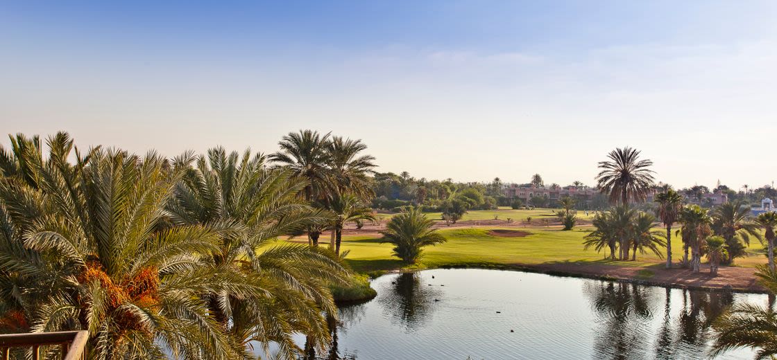 Parcours du golf Golf Club Rotana Palmeraie