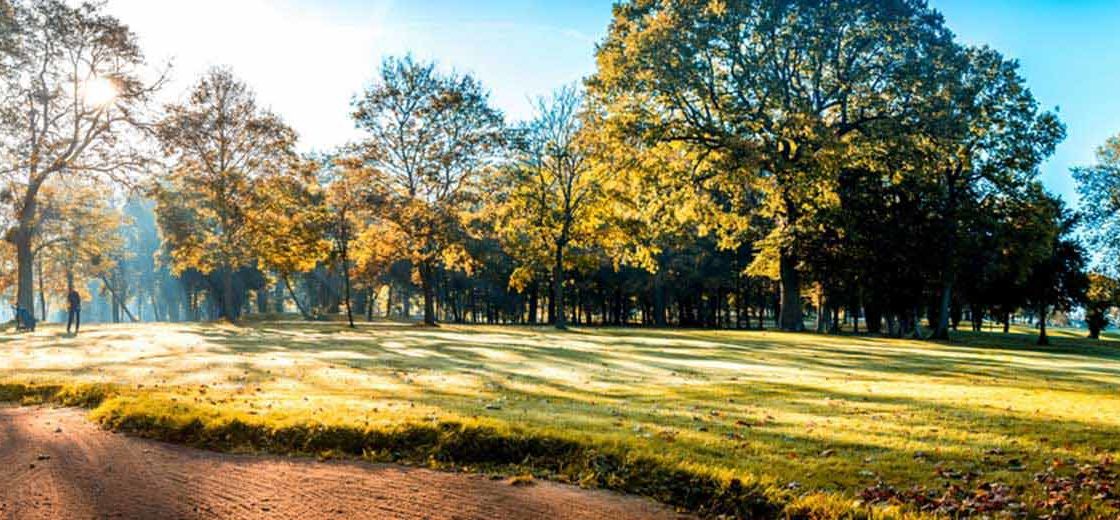 Parcours du golf UGOLF Coudray-Montceaux