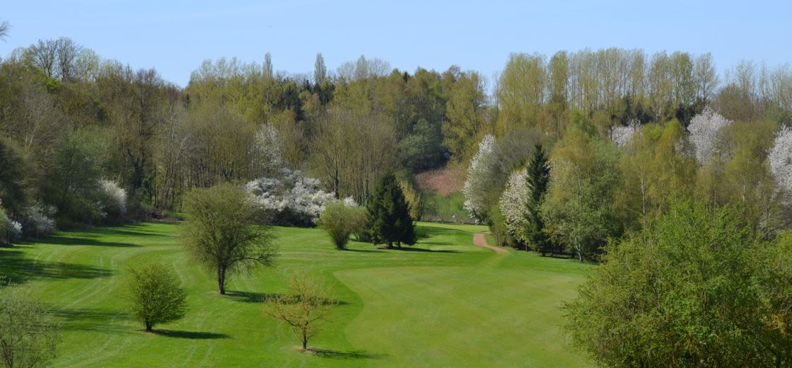 Green-fee and Golf de Falnuée
