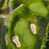 Golf Bluegreen Marolles-en-Brie