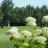 UGOLF Rouen La Forêt Verte