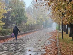 Дожди и порывистый ветер ожидаются в Волгоградской области 28 октября