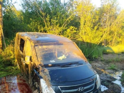 В Вологодской области водитель минивэна спас лося, но едва не погиб сам…