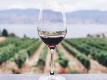 Врач-диетолог рассказала, поможет ли красное вино похудеть