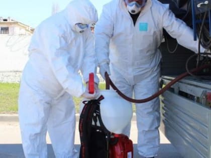 В Череповецком районе уничтожили почти 4 тысячи птиц, изъятых у местных жителей