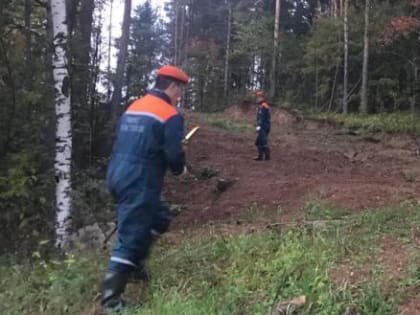 Пропавшая в Тарногском районе девочка найдена живой (ВИДЕО)