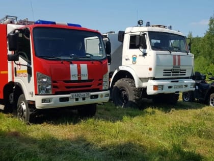 Вологодские ветеринары приняли участие в учениях по ликвидации гриппа птиц в Новгородской области