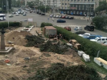 В Вологде у картинной галереи убрали ели, но оставили памятник Ильюшину