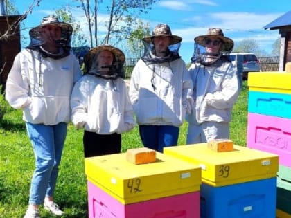 Реализация малых грантов в Тотемском округе продолжается