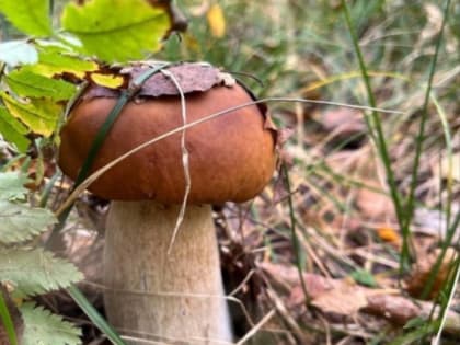 Доброе утро!