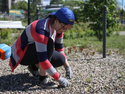 В Череповце 84 подростка станут на месяц подсобными рабочими