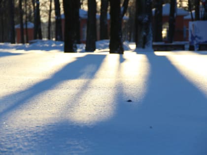 В Череповце оттепель сменится похолоданием