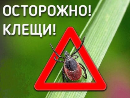 88 жителей Вологодского округа стали жертвами клещей с начала сезона