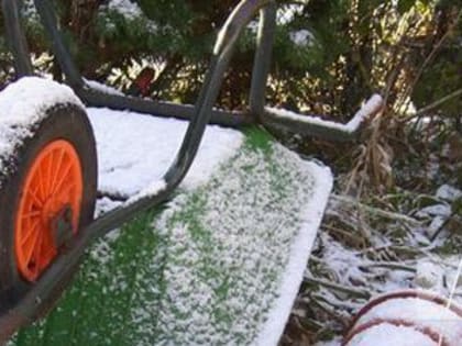 Ночные заморозки ударят по вологжанам уже в четверг и будут мешать жить до…