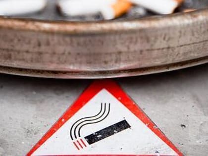 Правительство Вологодской области окончательно усложнит жизнь курильщикам сигарет, сигар, вейпов и кальянов