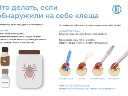 Об обращаемости населения Вологодской области в связи с присасыванием клещей по состоянию на 01.08.2022 г.