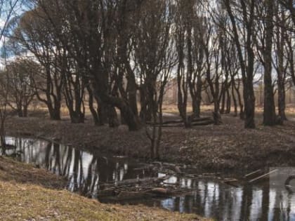 Предложение финансировать «Парки в лесу» частными инвестициями вызвало сомнения