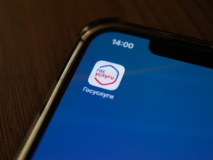 Череповчане смогут узнавать о налогах на портале госуслуг