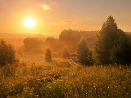 Долго ли еще продлится жара на Вологодчине, рассказали синоптики