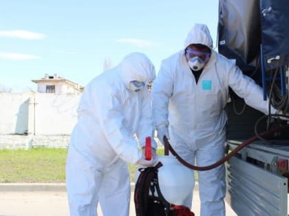 В начале сентября в Череповецком округе снимут КПП, созданные из-за птичьего гриппа