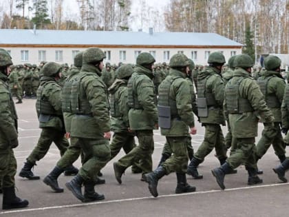 Девять кабинетов медико-психологического консультирования для участников СВО откроются на Вологодчине