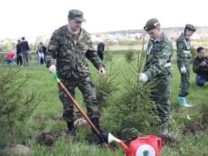 В Вологодском районе появился геоглиф в виде буквы Z