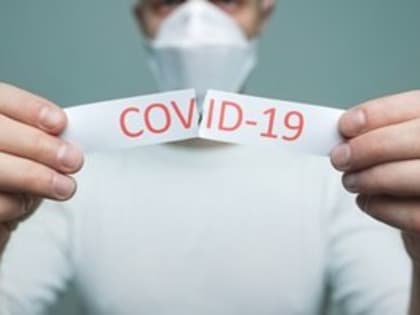 COVID-19 в Вологодской области: выявили 163 заражённых