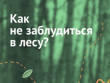 О безопасности путешествий в лесу напомнил ЦУР Вологодской области