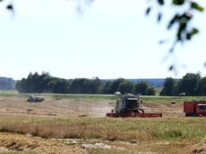 Сбор урожая в Вологодской области: актуальные проблемы и решения