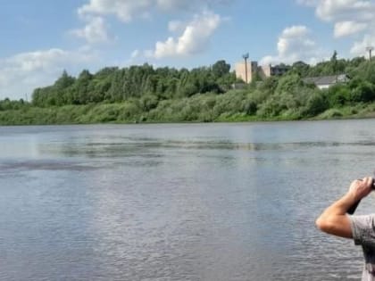 В Вологодской области усилены меры по противодействию распространения птичьего гриппа