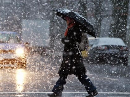 К выходным в Вологде снова похолодает