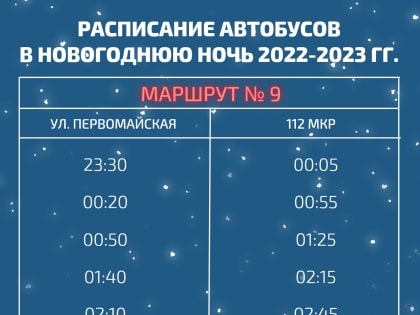 Автобус №9 будет ходить в новогоднюю ночь