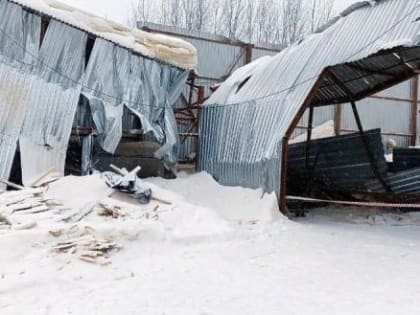 Производство пиломатериалов в Вожеге перетекло в уголовное судопроизводство