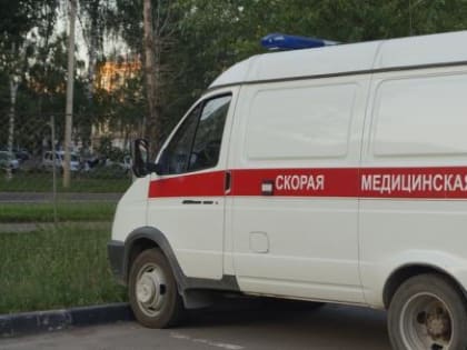 Свинья помогла найти новые возможности для возвращения человека к жизни