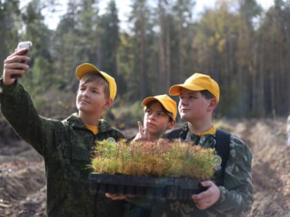 Приглашаем к участию в конкурсе по созданию лесных отрядов